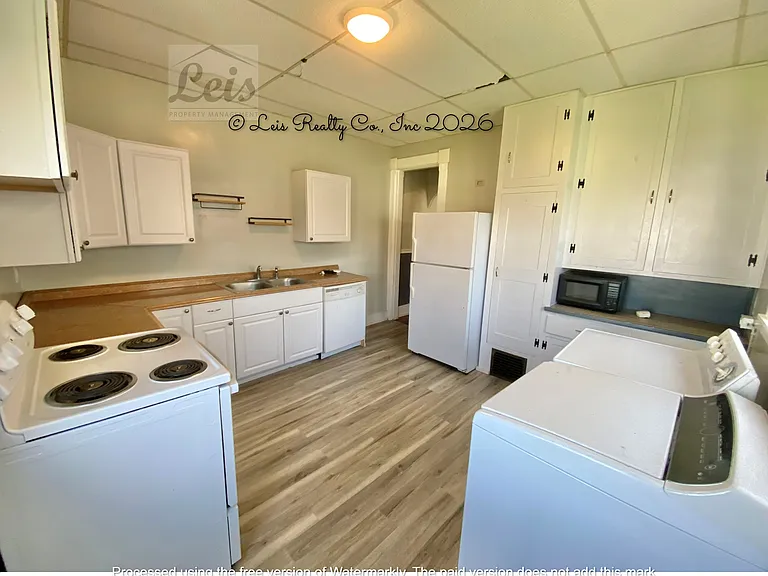 918 W Greene St — Photo 7