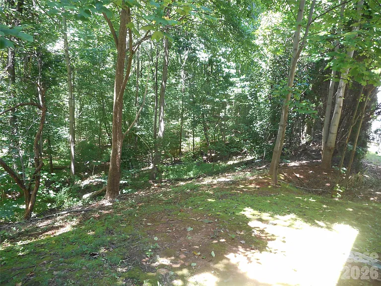 8037 Shiny Meadow Ln — Photo 7