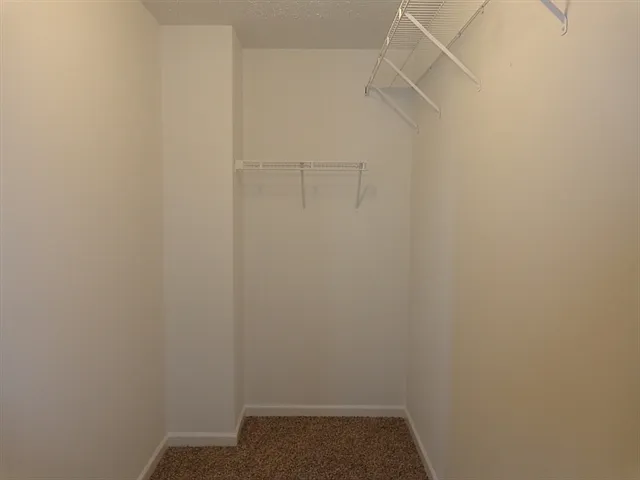 3661 Morinda Dr — Photo 24