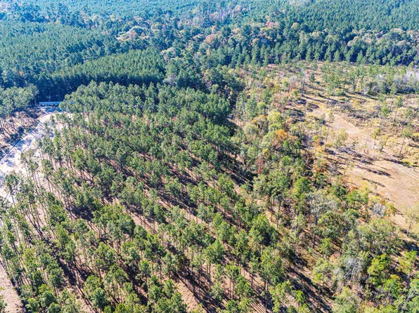 12 Big Buck Dr, Moscow, TX 75960