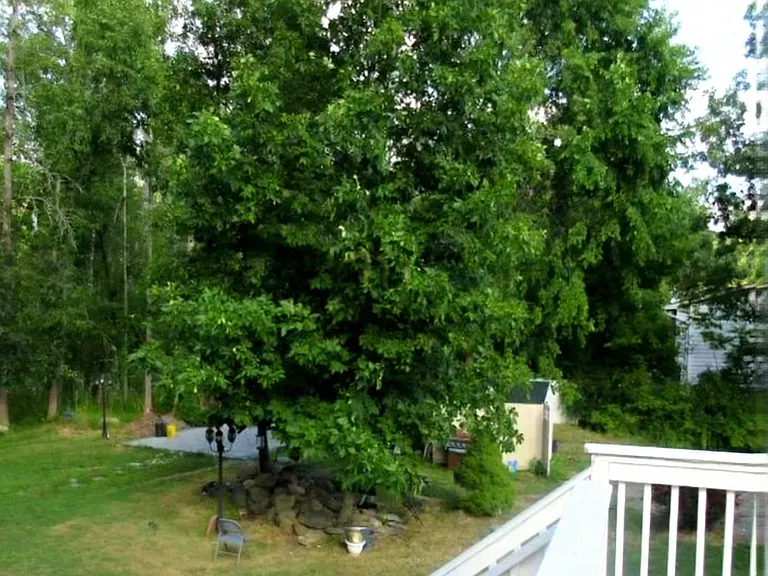 47 Interlochen Pkwy — Photo 21
