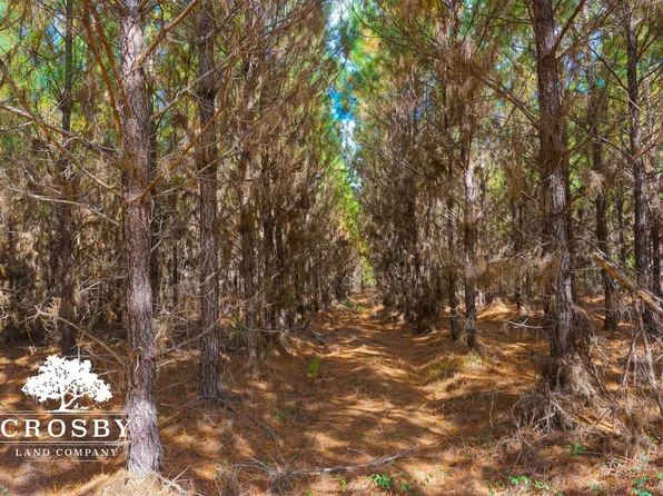 0 Elim Church Rd, Ludowici, GA 31316