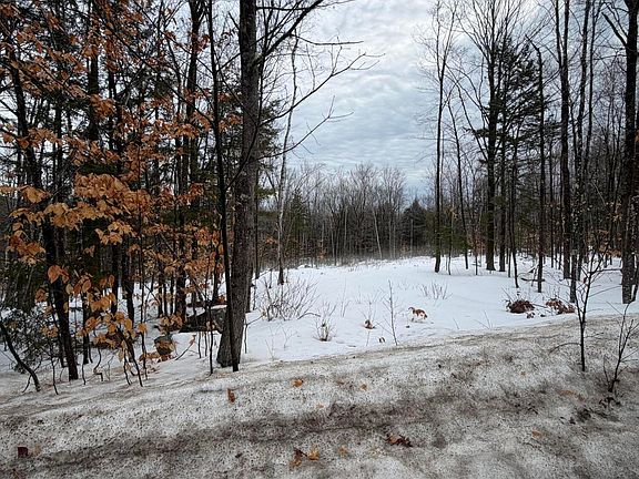 2nd image of Lot 3 Hancock Pond Rd