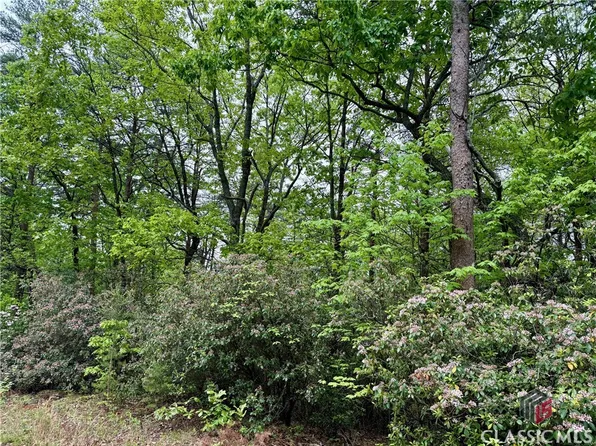 0 Snowdrift Place, Cleveland, GA 30528