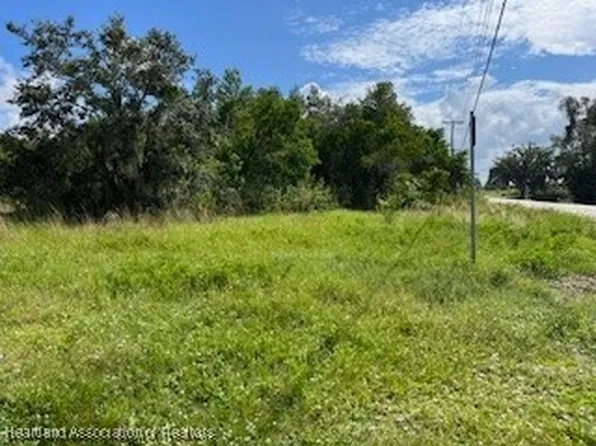 715 S Young Ave, Avon Park, FL 33825