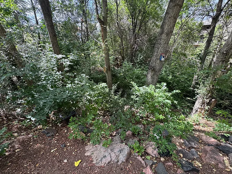 6700 W 11th Ave #110 — Photo 39