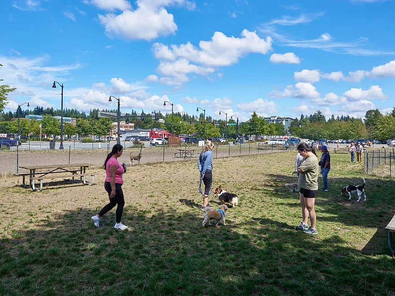 Bothell Dog Park
