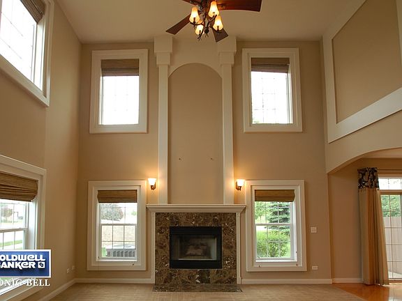 Wood Burning Fireplace