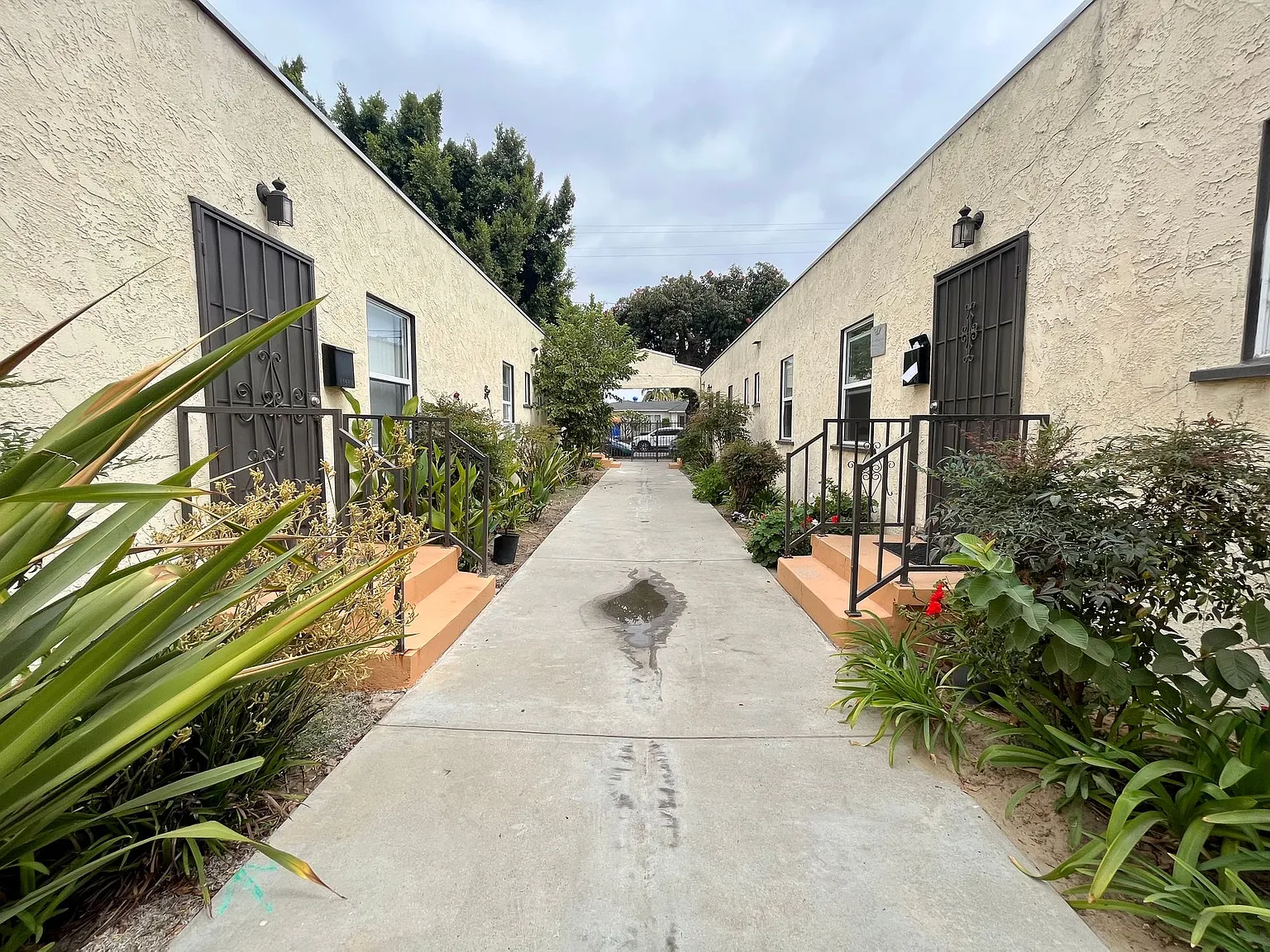 Bella Apartments: Beautiful 1 Bed - 1 Bath — Photo 3