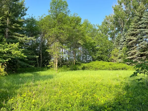 Tbd Wild Rose Trl, Frazee, MN 56544
