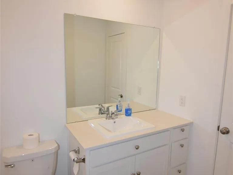 26926 Dalmatian Bellflower Dr — Photo 10