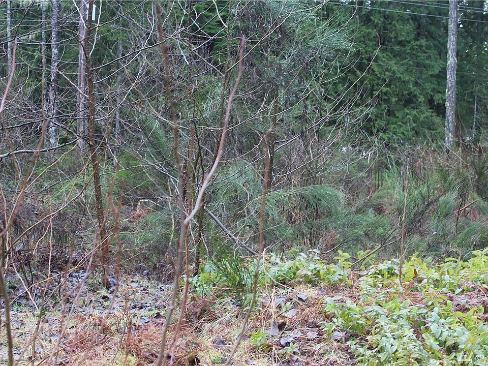 2nd image of 21 N Cooper Hawk Pl