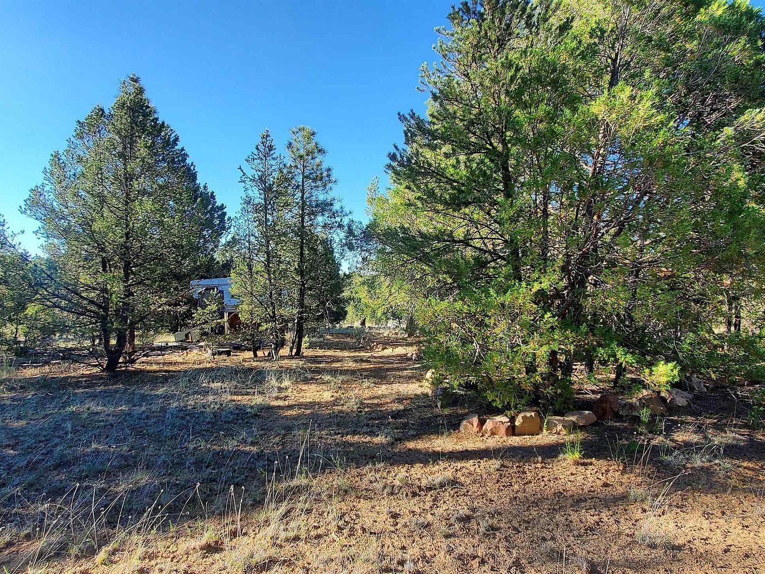 Ralph Chavez, Gallup, NM 87305 | MLS #20233369 | Zillow