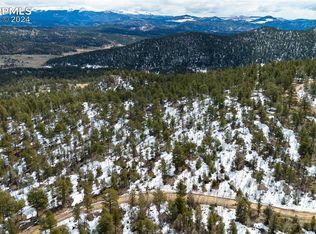 1904 Park Ridge Dr, Guffey, CO 80820
