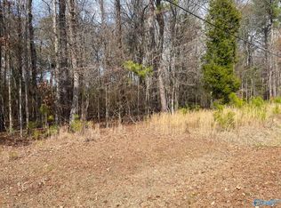 4 Indian Lake Dr, Rainbow City, AL 35906