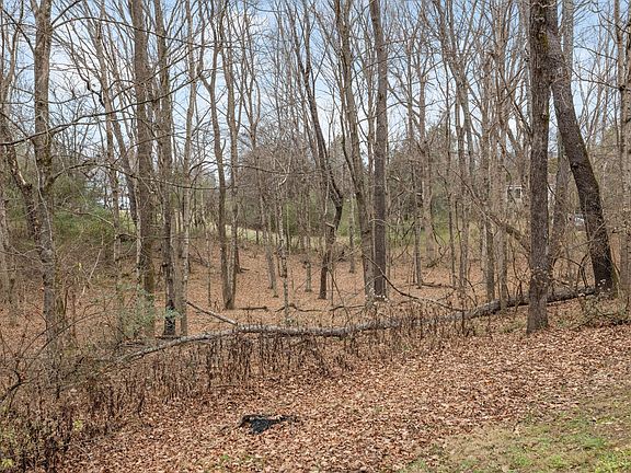 62nd image of 442 Lakeview Cir