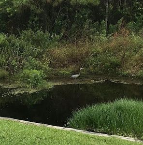 3144 Constellation Dr, Melbourne, FL, 32940