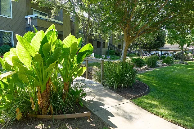 Monte Vista Apartments — Photo 22