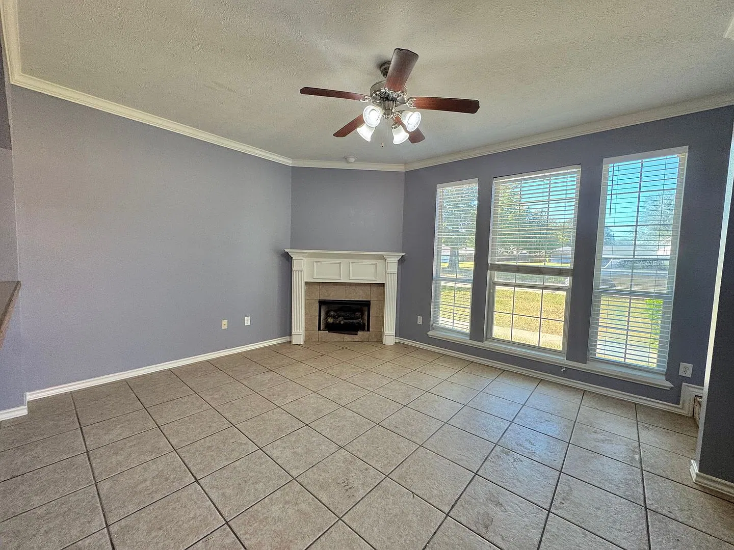 Available for rent! — Photo 2