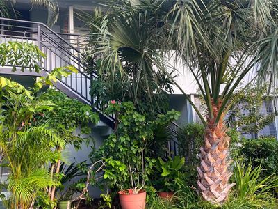 1080 98th St APT 9, Bay Harbor Islands, FL, 33154