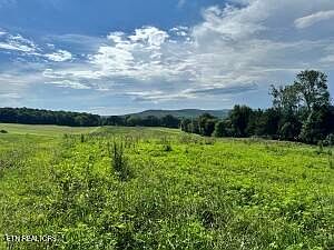 3rd image of Collier Ln