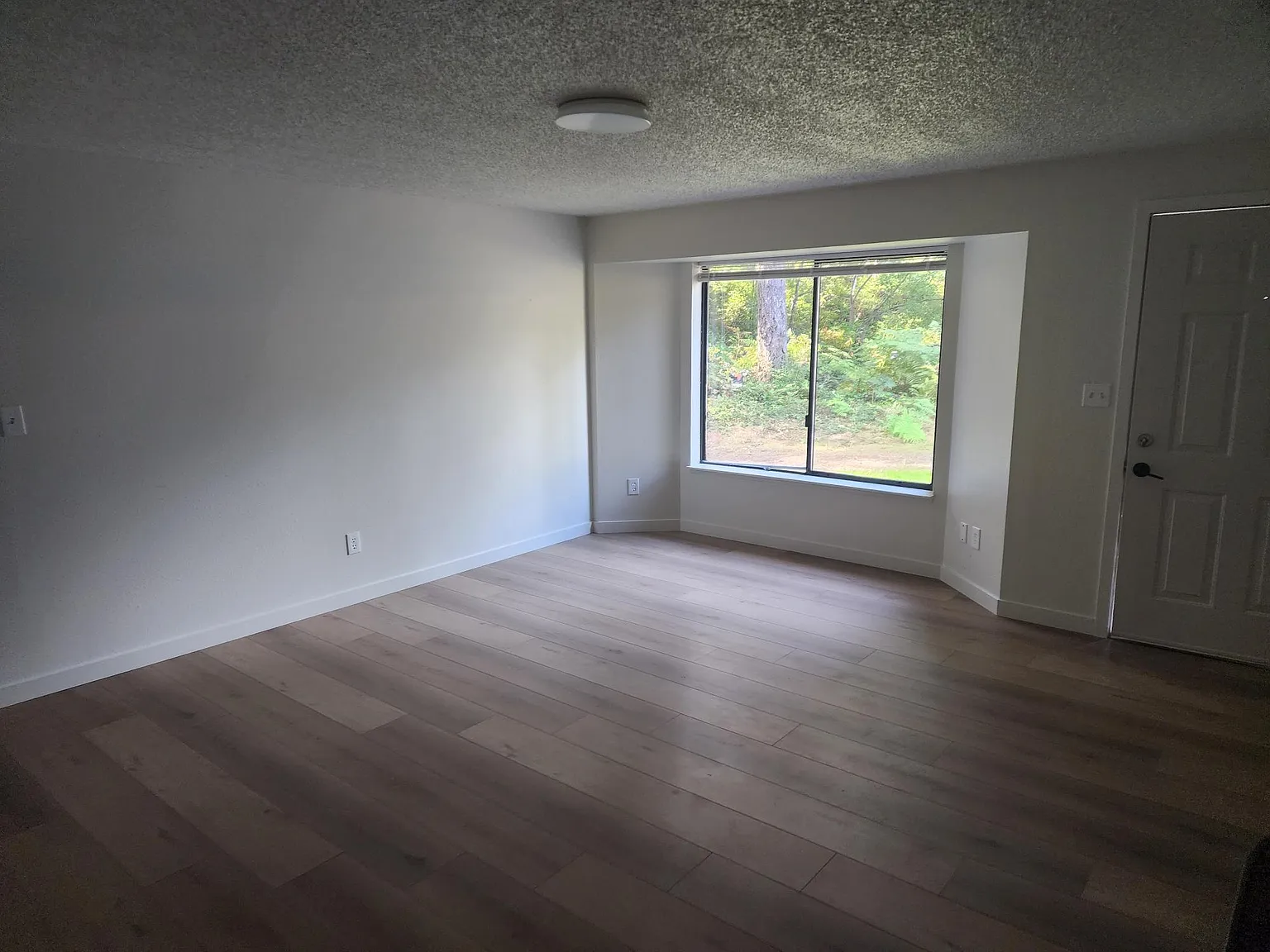 2 bed, 1250 sqft, $2,650 — Photo 2
