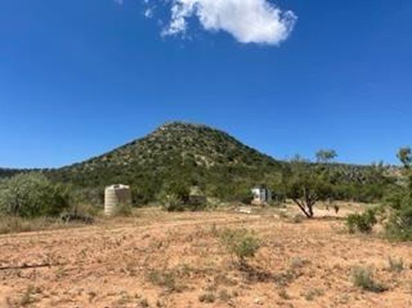 454 Hillside Rd, Robert Lee, TX 76945