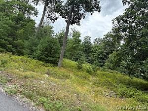 2nd image of 695 Big Pond Road