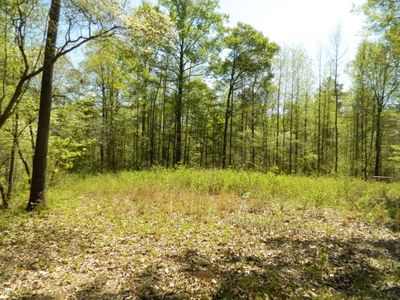 1645 Holman Autry Rd, Danielsville, GA, 30633