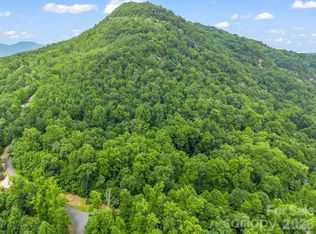 29 Matho Trce #29, Lake Lure, NC 28746