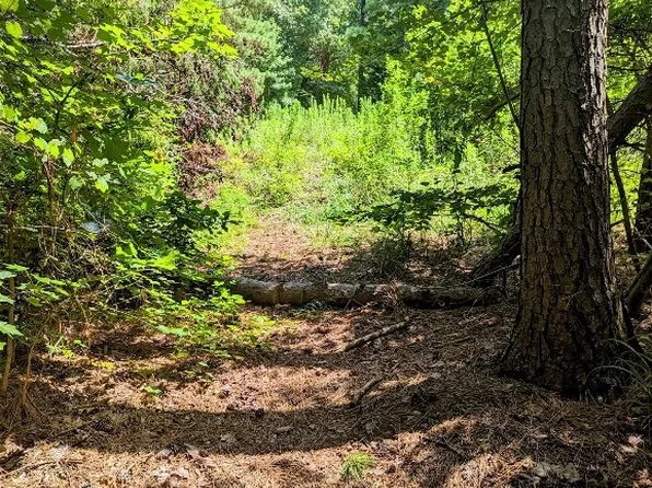 28 Private Road 52031, Pittsburg, TX 75686