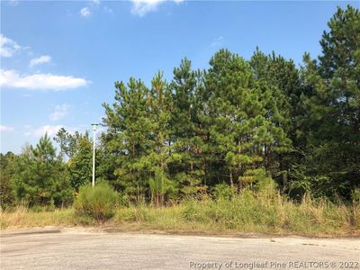 115 Ithica Ln, Bunnlevel, NC, 28323