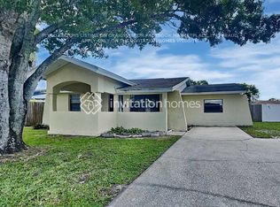 10206 Vista Cove Ct, Tampa, FL 33615