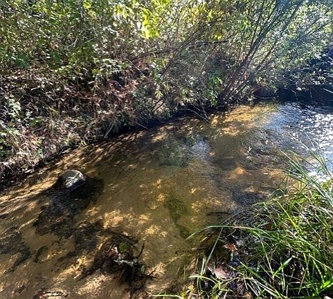 3rd image of 20.67 Acres Green Acres Road