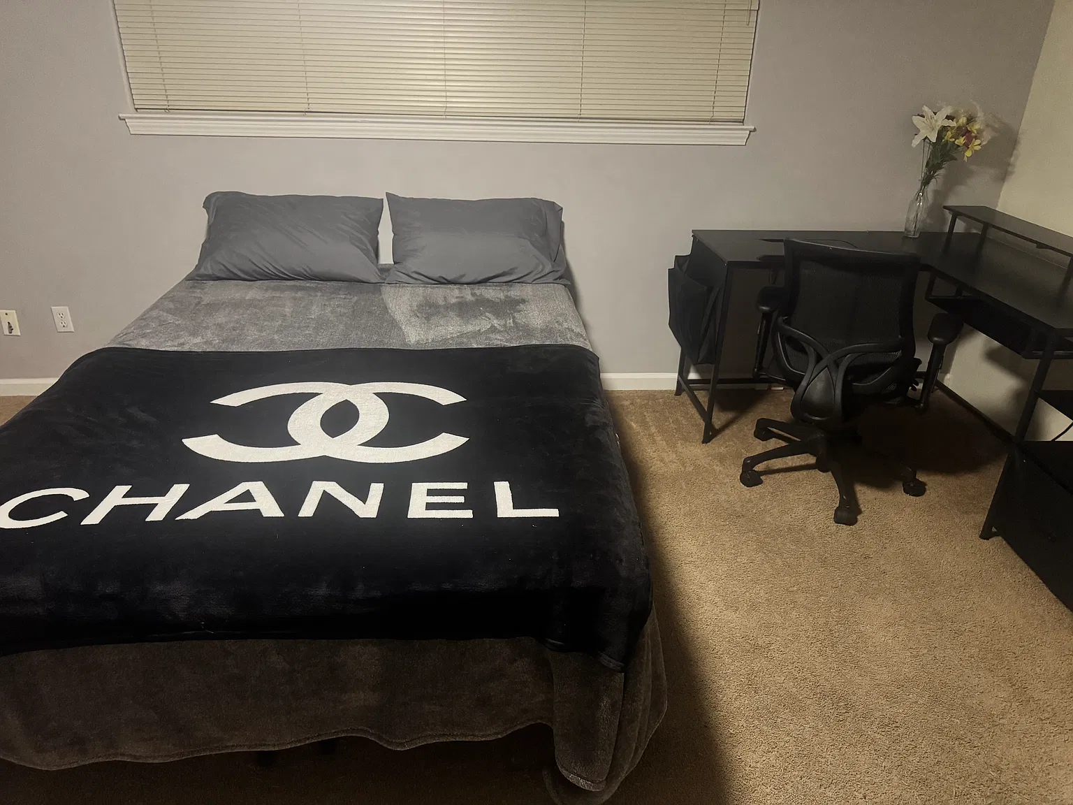 1 bed, 179 sqft, $1,174 — Photo 1