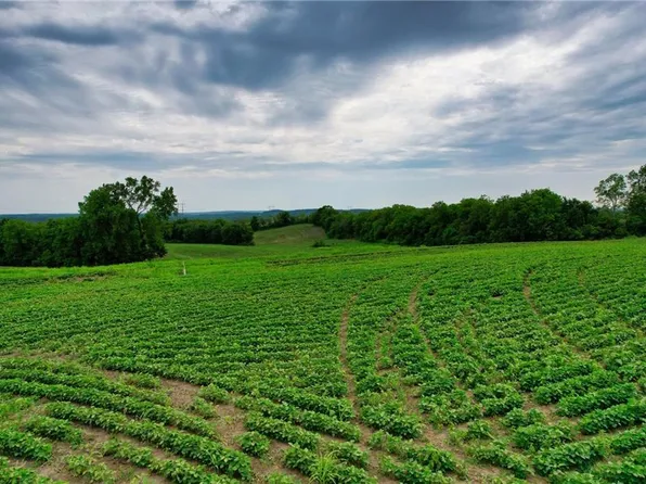 56 Dye Store Rd, Weston, MO 64098