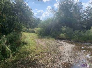 21217 Barber Rd LOT 3, Franklinton, LA 70438