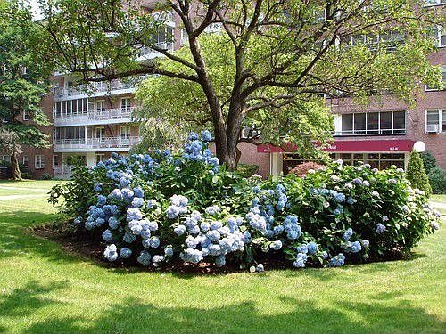 2nd image of 16221 Powells Cove Blvd APT 6G