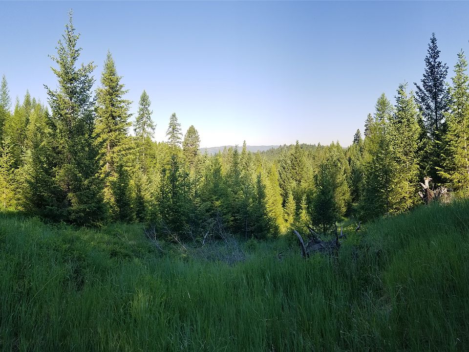 LOT 2A Haywire Gulch Rd, Kalispell, MT 59901 | MLS #30005756 | Zillow