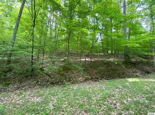 1436 Shady Hollow Rd LOT 1436, White Pine, TN 37890