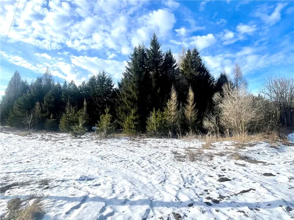 46.67 acres 630th Street, Colfax, WI 54730