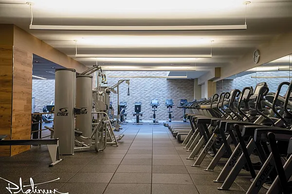 Rented by Platinum Properties | media 14