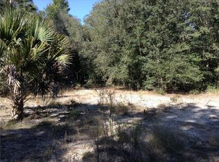 9702 N Dunedin Rd, Dunnellon, FL 34433