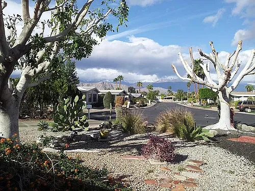 73921 Line Canyon Ln Photo 1