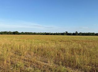 0 Highway 129 Ken Holley Oak, Alapaha, GA 31622