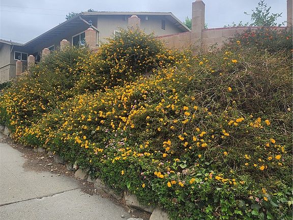 2nd image of 4600 Lauderdale Ave