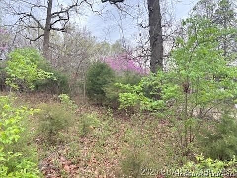 3rd image of 1037 Estate Rd