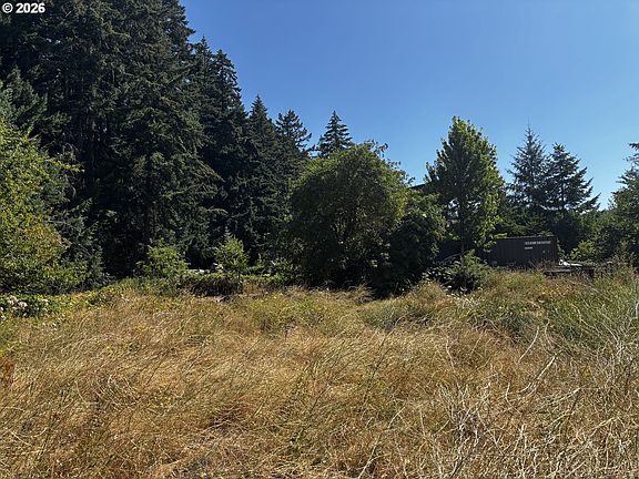 4th image of 1330 Promise Ln