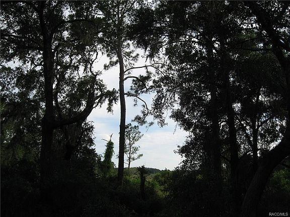 5th image of 4620 E Treeline Dr