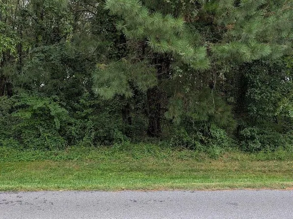 LOT 5 Falling Point Rd, Dagsboro, DE 19939
